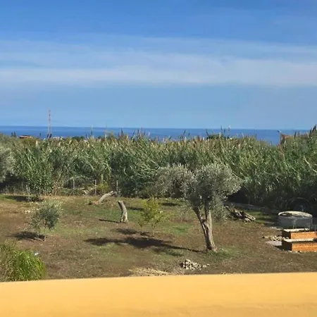 Orlando Трабия