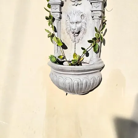 Orlando * Трабия